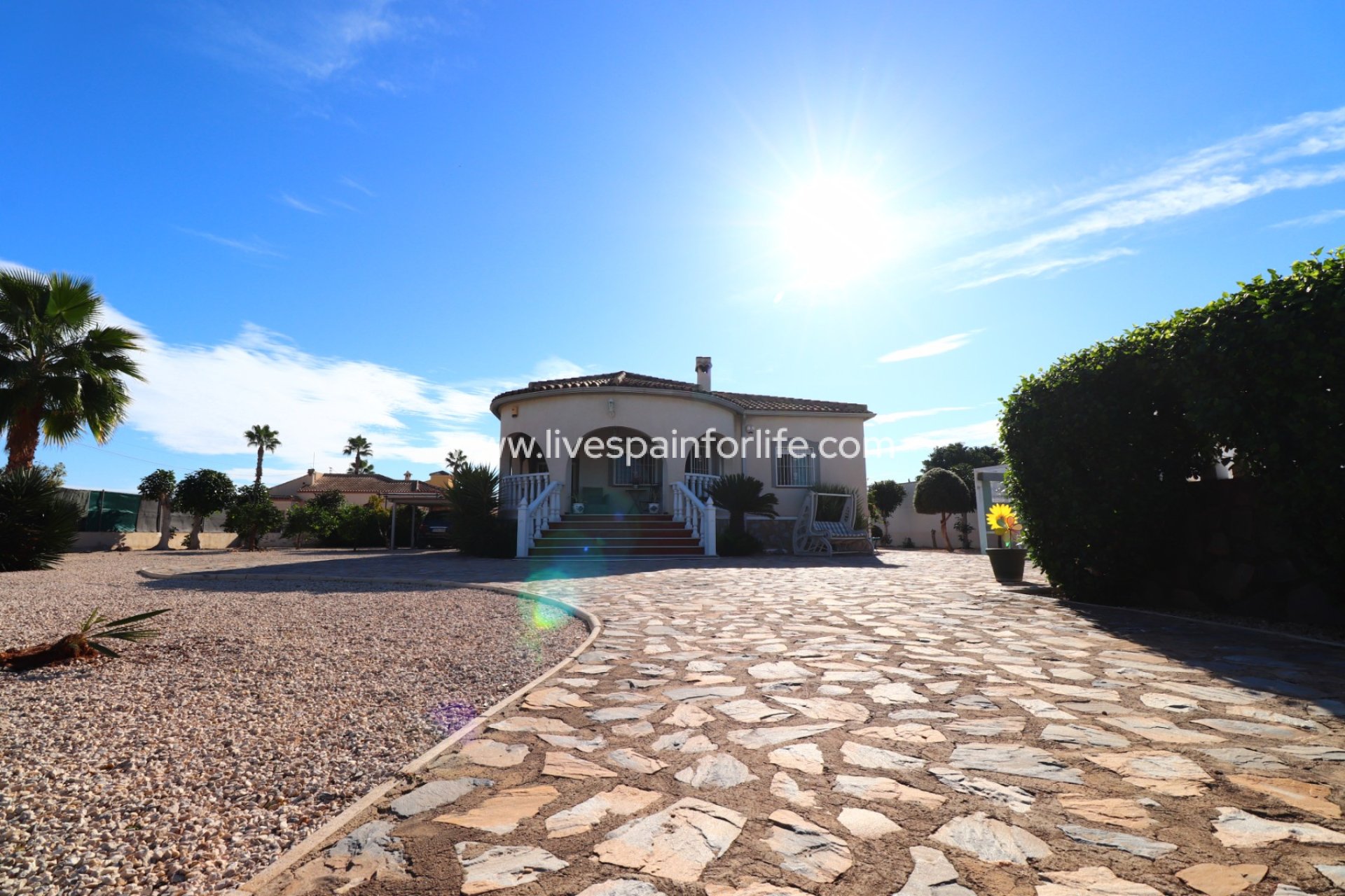  -  -
Catral - Catral - Country