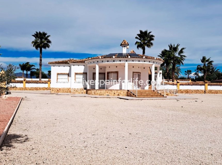  -  -
Catral - Catral - Country