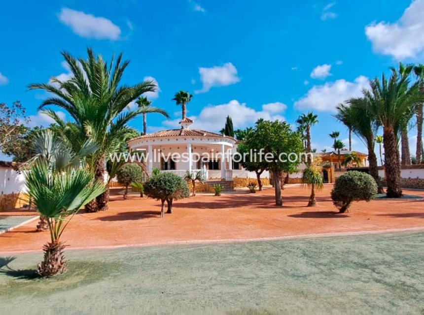  -  -
Catral - Catral - Country