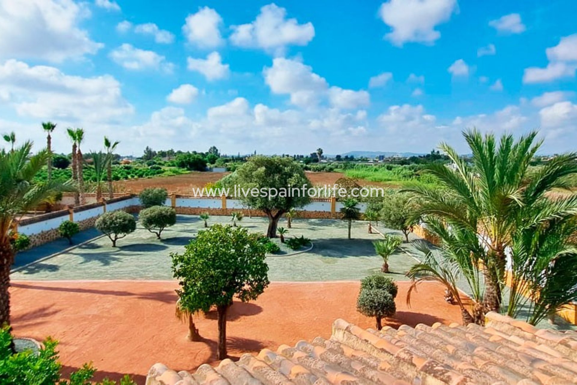  -  -
Catral - Catral - Country