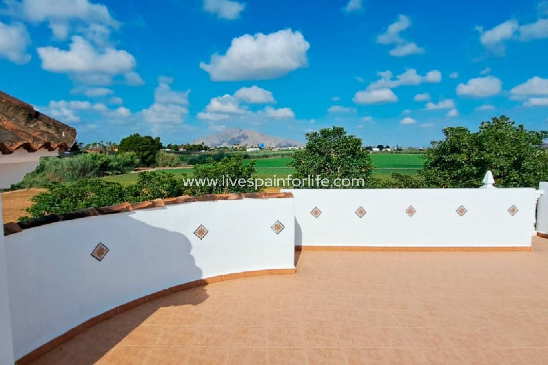  -  -
Catral - Catral - Country