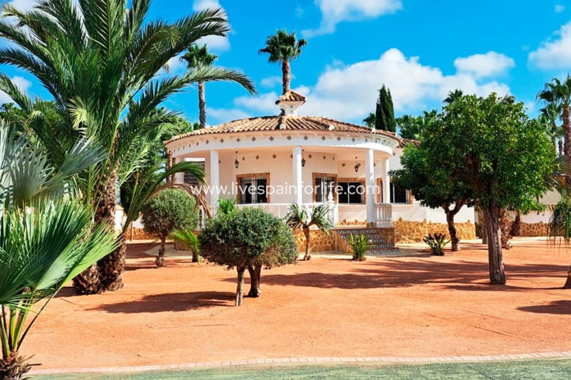  -  -
Catral - Catral - Country