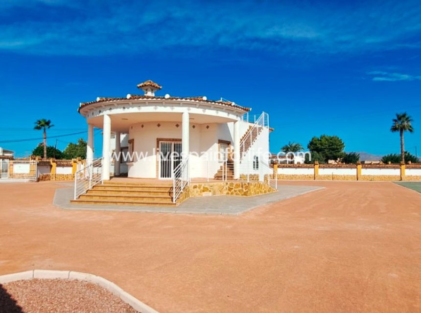  -  -
Catral - Catral - Country