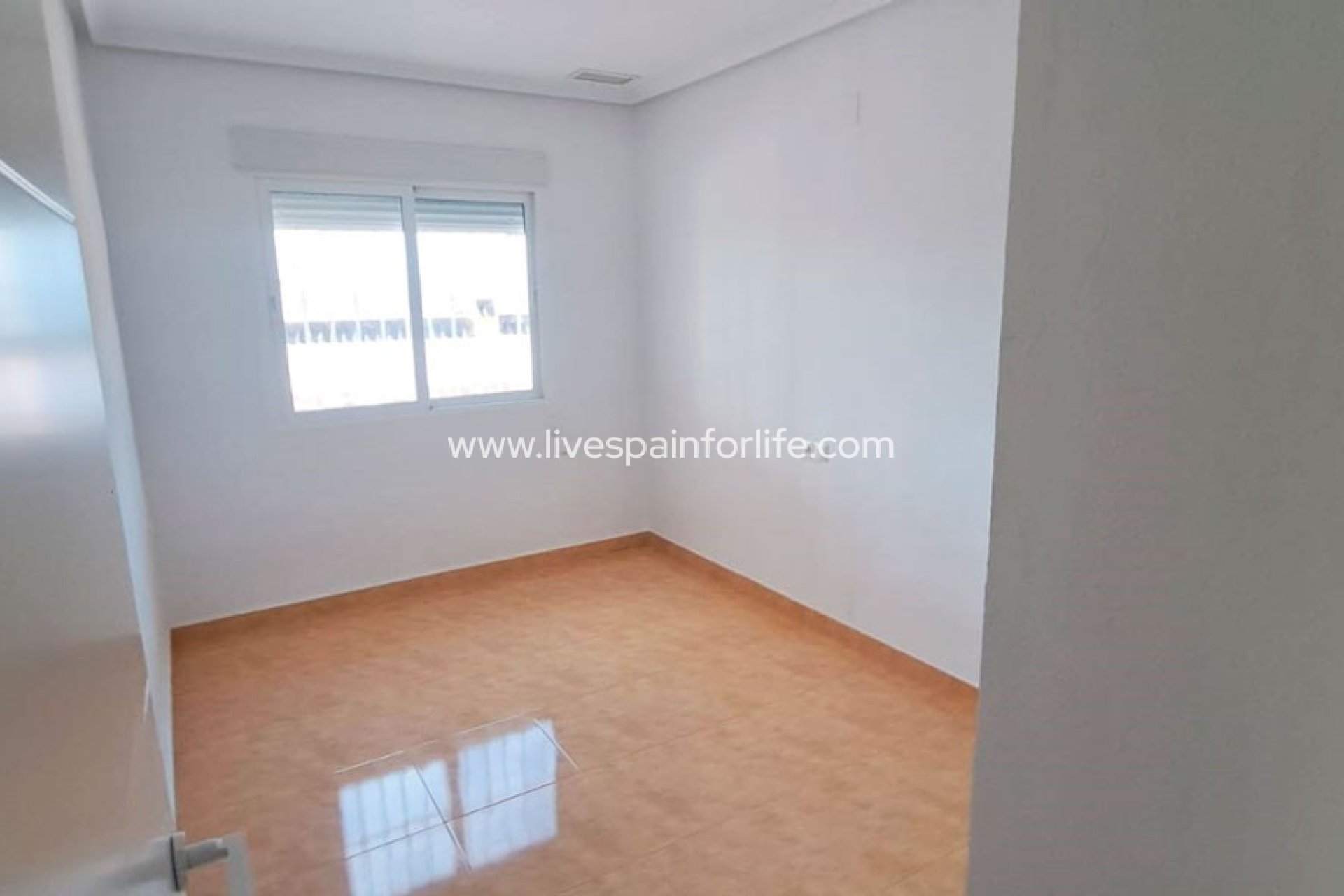  -  -
Catral - Catral - Country