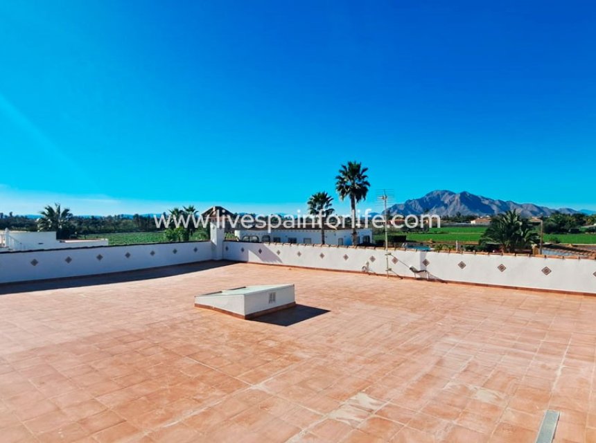  -  -
Catral - Catral - Country