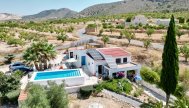 Cave - Revente - Alguena
- HVH-38694