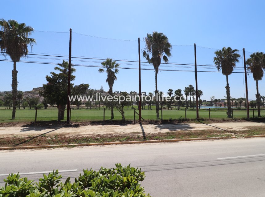  -  -
Ciudad Quesada - La Marquesa