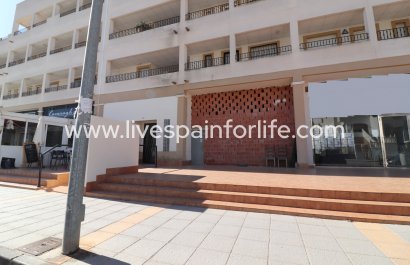 Commercial (Freehold) -  - Los Montesinos -
                    Entre Naranjos / Vistabella Golf