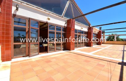 Commercial (Freehold) -  - Orihuela Costa -
                    Los Dolses