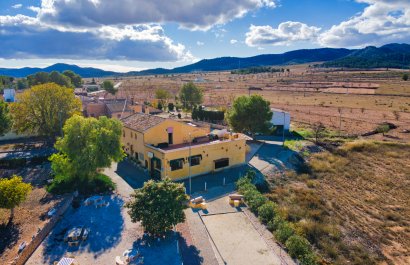 Commercial - Resale - Abanilla -
                    Abanilla