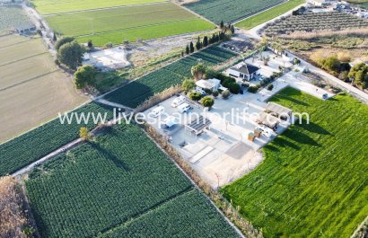 Commercial - Reventa - Dolores -
                    Dolores - Country