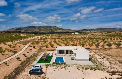 Country house - Neubau - Pinoso -
                    Pinoso