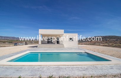 Country house - Neubau - Pinoso - Pinoso