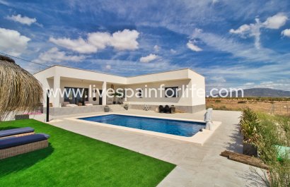 Country house - Neubau - Pinoso -
                    Pinoso