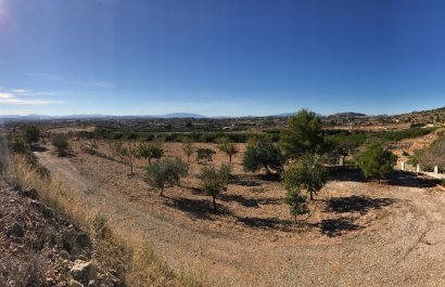 Country house - Nuevo - Fortuna -
                    Fortuna