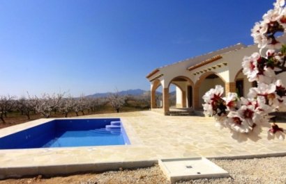 Country house - Nuevo - Pinoso -
                    Pinoso