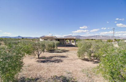 Country house - Reventa - Albatera - Albatera