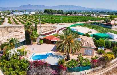 Country house - Reventa - Albatera - Albatera