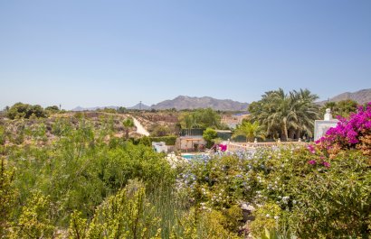 Country house - Reventa - Albatera - Albatera