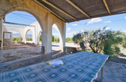 Country house - Reventa - Albatera -
                    Albatera