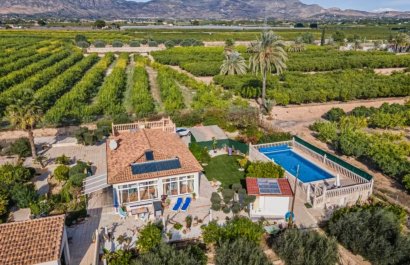 Country house - Reventa - Albatera - Albatera