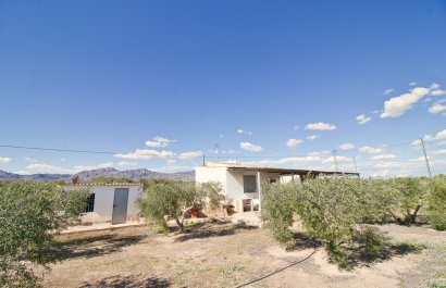 Country house - Reventa - Alicante -
                    Alicante