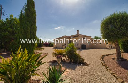 Country house - Reventa - Alicante -
                    Alicante
