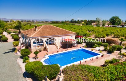 Country house - Reventa - Alicante -
                    Alicante