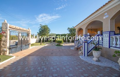 Country house - Reventa - Alicante -
                    Alicante