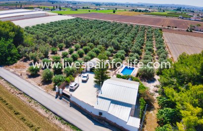Country house - Reventa - Alicante -
                    Alicante