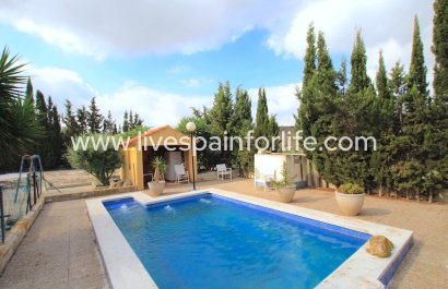 Country house - Reventa - Bigastro - Bigastro