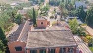 Country house - Reventa - Catral
- Cat Tam-Dx