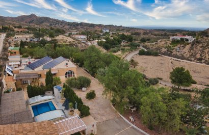 Country house - Reventa - Crevillent - Crevillent