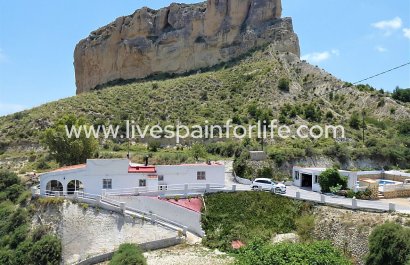 Country house - Reventa - Crevillent - Crevillent