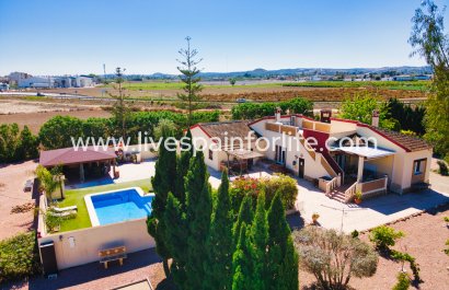 Country house - Reventa - Daya Vieja - Daya Vieja