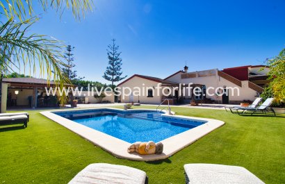 Country house - Reventa - Daya Vieja - Daya Vieja