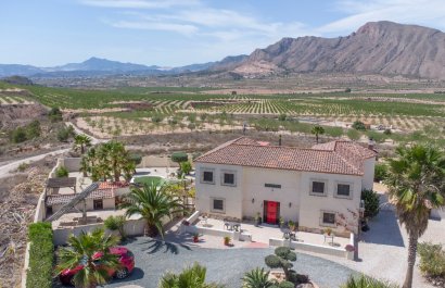 Country house - Reventa - Hondon De Las Nieves - Hondon De Los Frailes