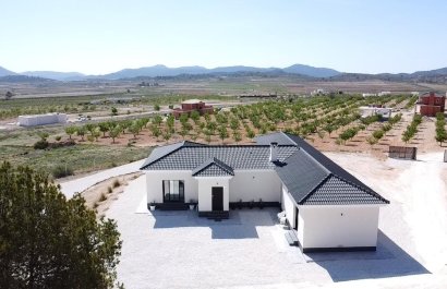 Country house - Reventa - Pinoso - Pinoso - Country