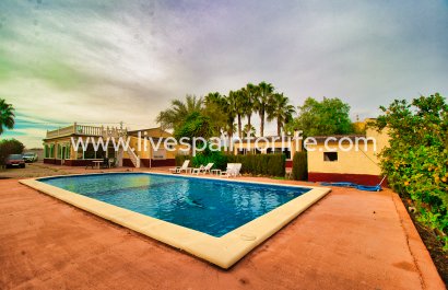 Country house - Weiterverkauf - Crevillent -
                    Crevillent