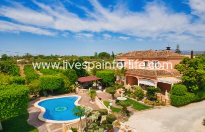 Country house - Weiterverkauf - Elche - Elche