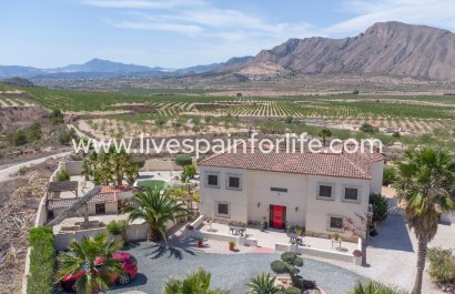 Country house - Weiterverkauf - Hondon De Las Nieves -
                    Hondon De Los Frailes