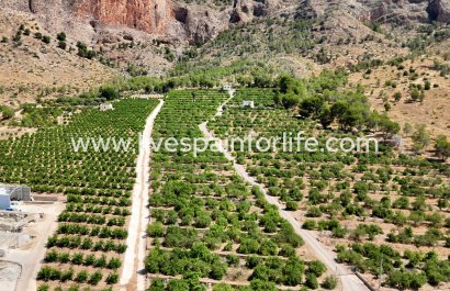 Country house - Weiterverkauf - Orihuela -
                    Orihuela