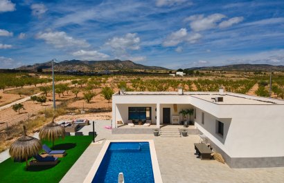 Country house - Weiterverkauf - Pinoso - Pinoso