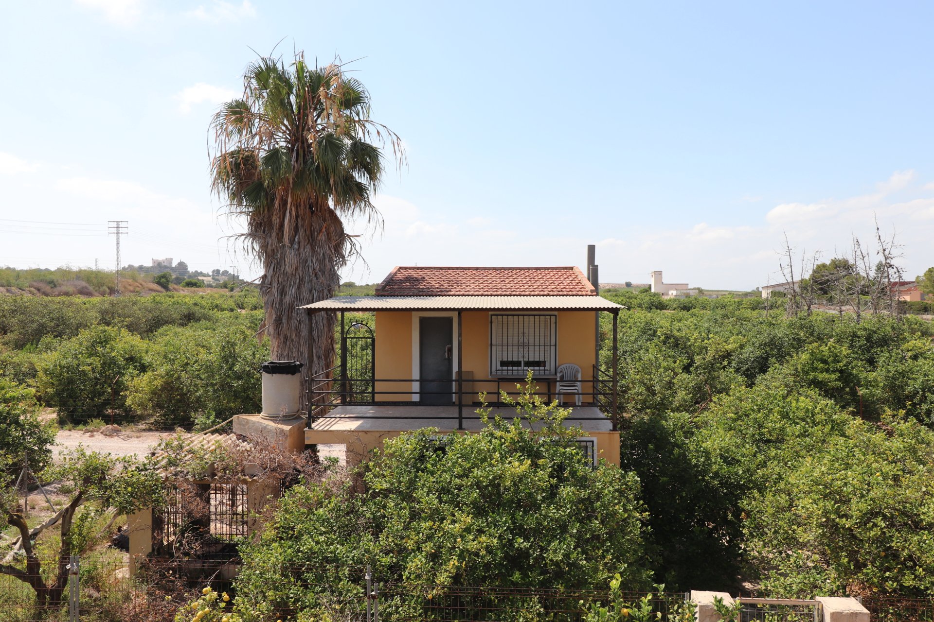  - Country Property -
Algorfa