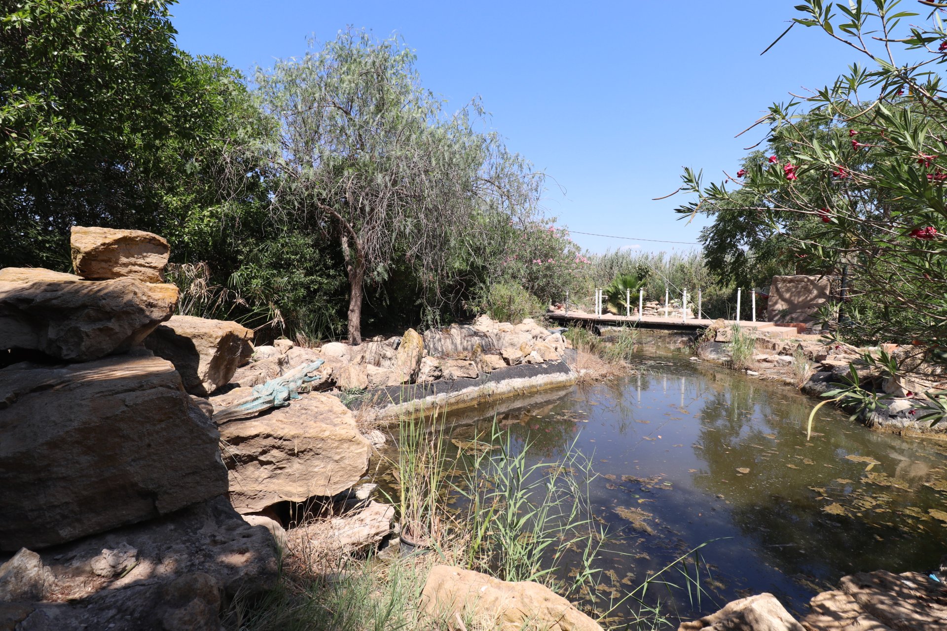  - Country Property -
Catral - Catral - Country