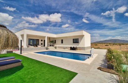Country Property - New build - Pinoso -
                    Pinoso