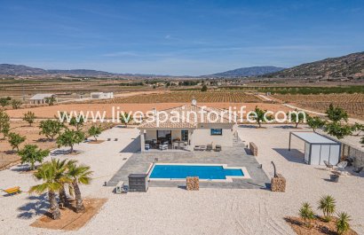 Country Property - New build - Pinoso - Pinoso