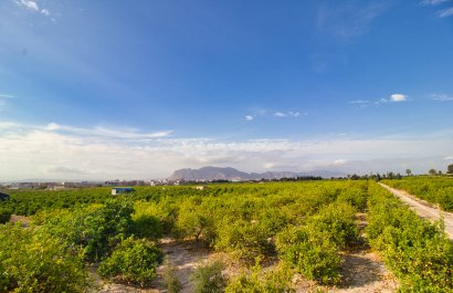 Country Property - Resale - Albatera - Albatera