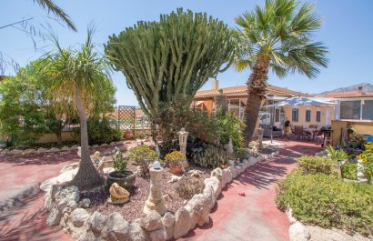 Country Property - Resale - Albatera -
                    Albatera