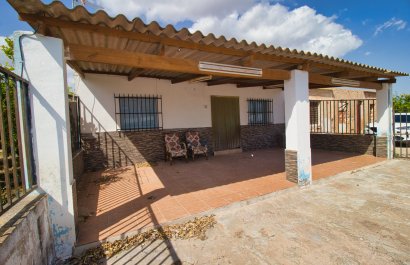 Country Property - Resale - Albatera -
                    Albatera
